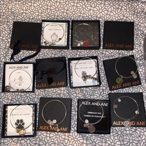 Alex and Ani lot